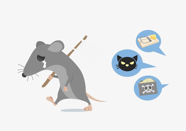 春季朝陽區(qū)滅鼠常用什么藥？有哪些注意事項？