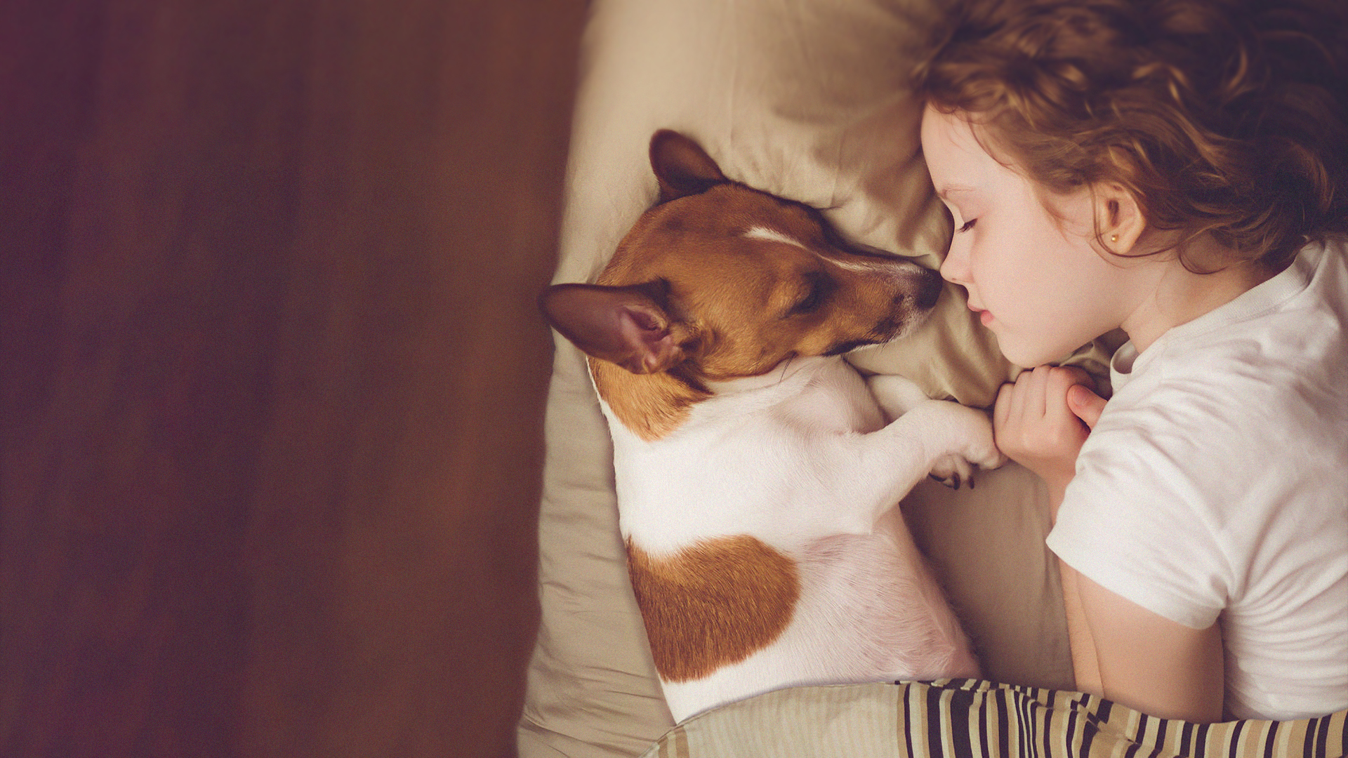 專業(yè)消毒公司哪家好